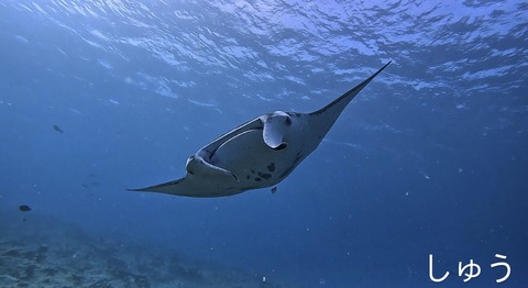 0804CB11-D38E-404C-91A6-9AD428BBE128