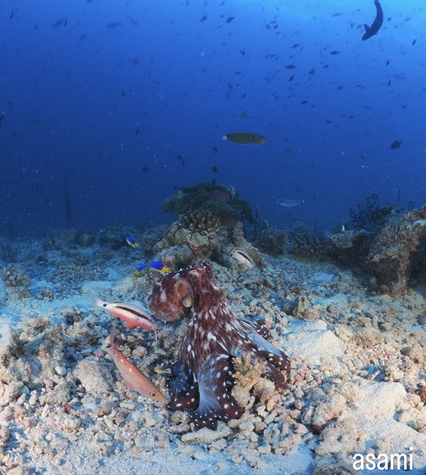 E80C6904-AEDC-4B2D-BA44-9CEB6490678D