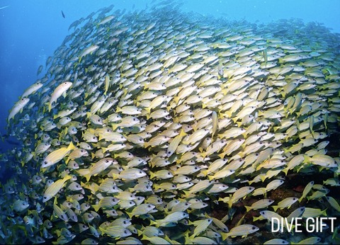 95F2CEEF-F4BD-4E7C-B29C-78D3E608798B