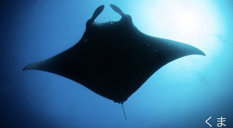 64155516-81CD-47AF-B6E8-DBCCCAA77FC2