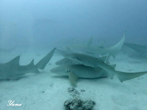 364803708_6463578990403025_6550325094313511323_n