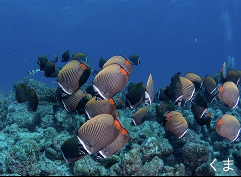 E0651C1F-7197-4E22-903D-D7E013BBB54B