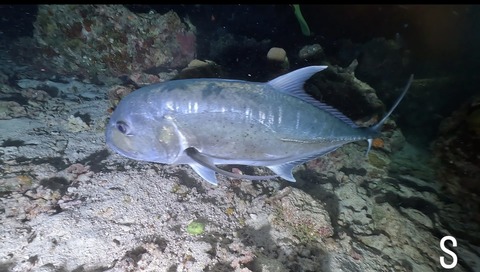 96409684-BA14-4911-BE73-DBBC2747752B