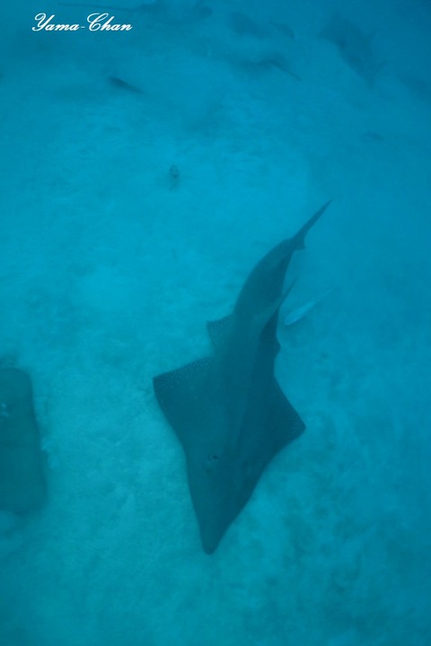 230818_075610-152922