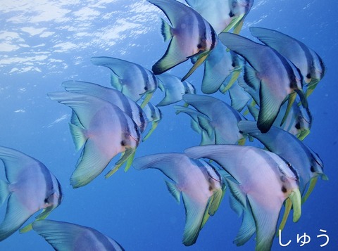 4A1F9AC1-83BE-4EC8-B092-5FB80349E02A