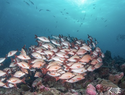 FAADF5CA-228F-40CF-B8CD-EF22FF82B869