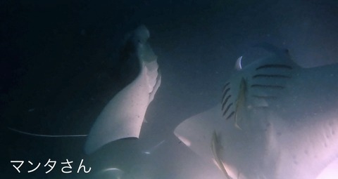 D247EB6F-EACD-497A-A7ED-32EE9CE36BE0