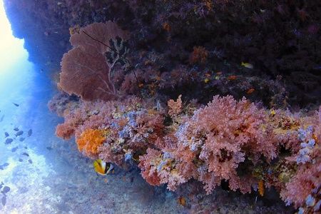 39943586_1844554485637814_3546347005884235776_n