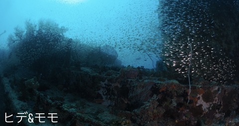 E5A7C368-67A3-4820-BAA8-381A11E913F7