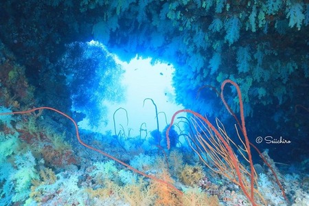 40418470_246086189442019_2539227146916724736_n