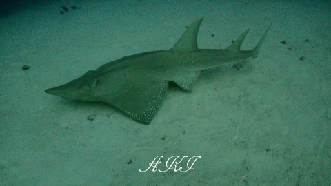 PC030012 - frame at 0m2s