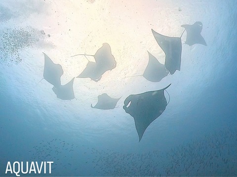 2A2A4632-27D5-4838-8E48-118943589C38