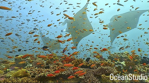 D7106015-4119-433E-9E88-CDDC3EFC9C6D