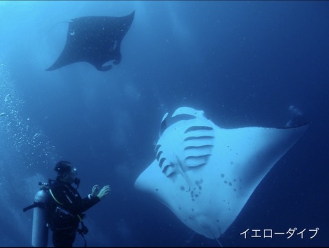 A96F7A06-98A0-447F-83E8-7D1E7CF2B9DF