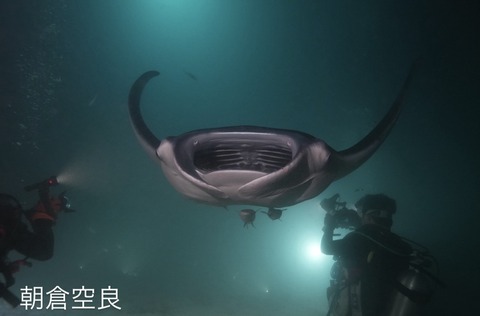 D1ABAE15-6EC7-438A-994C-097C7C1C1B9D