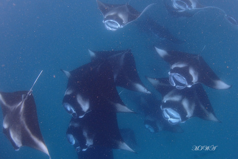 P7271979 - コピー