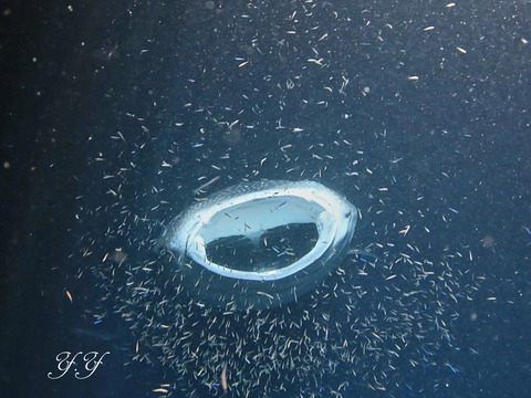 8BA23B53-C1D7-47BF-B81D-E062BAA0D9B0