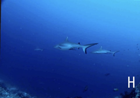 7EBD797F-8509-4A1A-8B0C-3B1C3937BB44