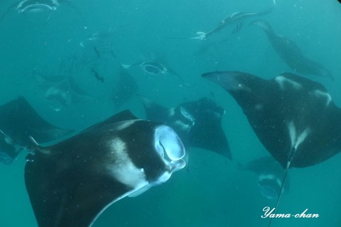 230813_151231-171466