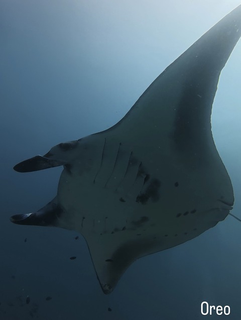 CD5D2A24-B910-4E3C-907E-2CD5B7FA78E1