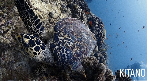 EE211133-3765-4411-ADB9-B3F873F3FCD6