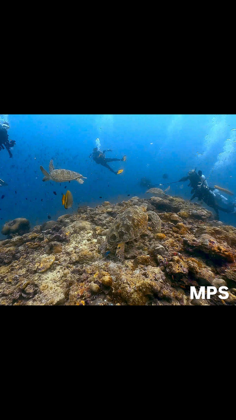 4393BEBC-C6AD-46A1-8DFE-5B237343283D