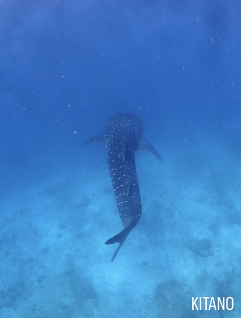 DD1A678B-4FF8-4FC5-BCCD-51CC35E1CC09