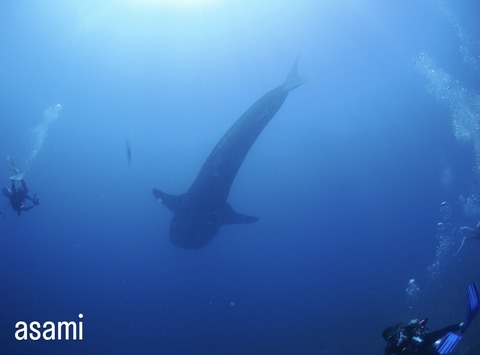 F774EC15-9520-4697-9E7E-4D9ECDDCE467