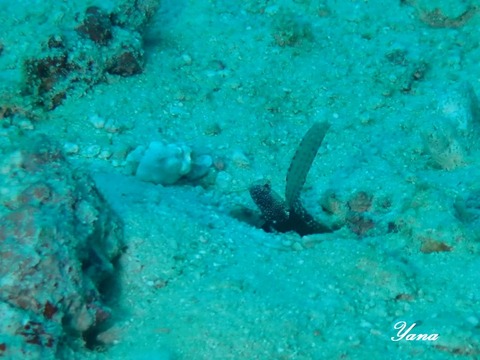 363831033_6463579023736355_6745732142652900126_n