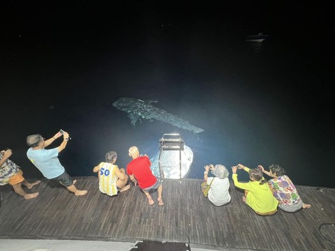 385310056_6687664474661141_6353172017500375692_n