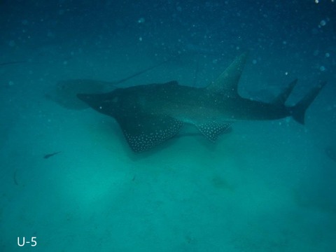 P9170018