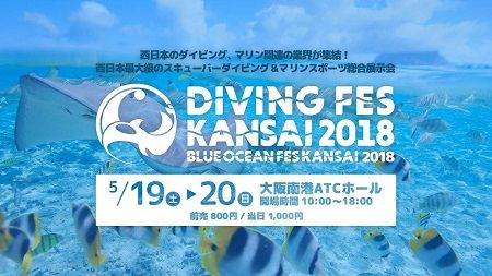 31453764_1265536336911577_8444761188406919168_n