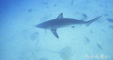 C2DD5C56-3298-46DF-B3EE-0CE226188D37