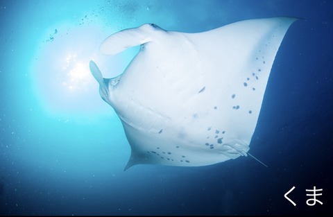 D70366FC-501D-43EA-9C7D-F6DA9B4203B9