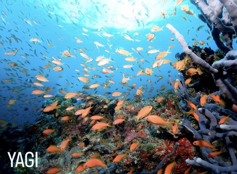 9F6019EE-158D-4C32-99CC-6C6255B819A6