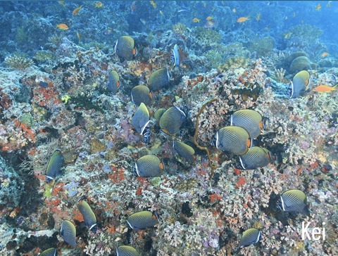 7DBCA69C-A7DF-4161-A4EB-BA5FD3B74623