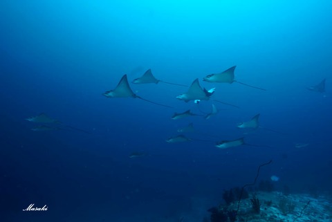 363369132_6461685473925710_2807762614430596995_n