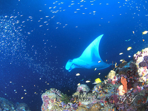 210B2655-EB6E-4C7F-BB8B-75E08519A52A