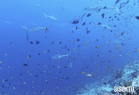 6B5A2A60-0671-4D95-83C0-18A5AD3476DA