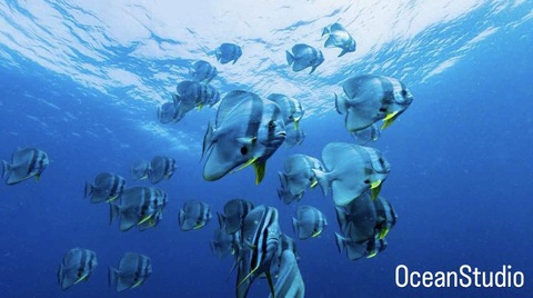 60A579CE-C187-41C2-A4DB-5B1B41E9674D