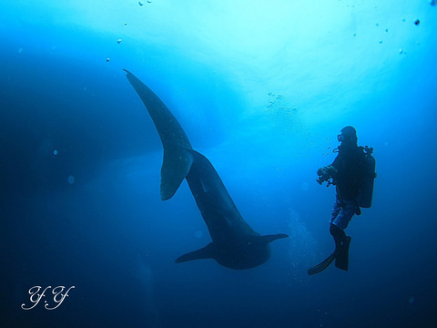 1E4F17B6-5322-44C0-85F2-8244A0762CFA