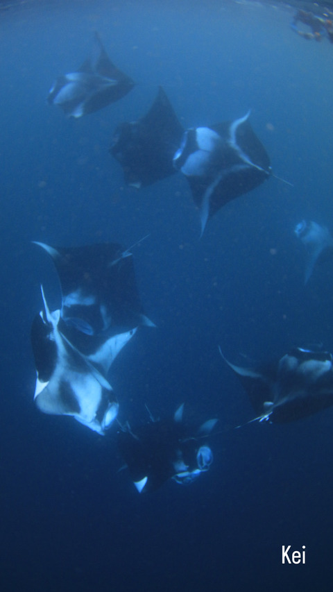 F076BBD3-CA64-4C58-B7D2-0D9C9995C814