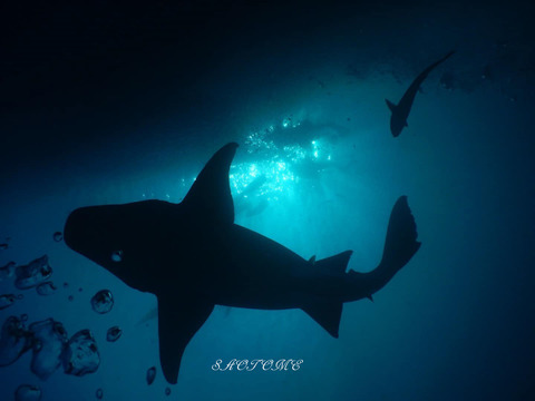 402612249_6848429025251351_3216738971948156679_n