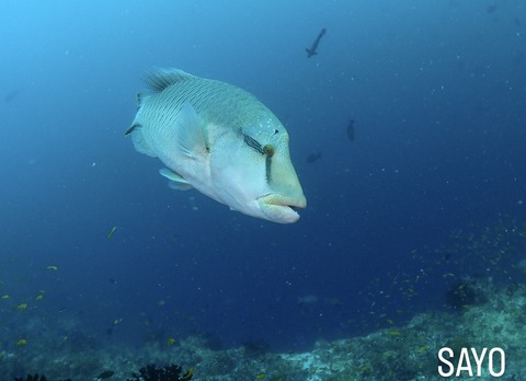 037DCA49-8993-4034-92FF-B26E85DAF063