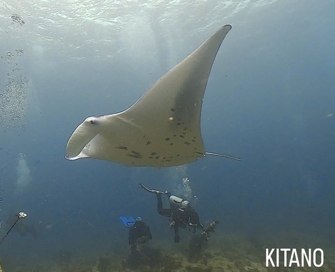 9D56DF59-529B-4142-83BD-37AFAE267081