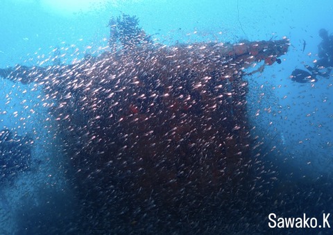 5C6DA53E-F0EE-4BD7-830E-46D9C6422D63