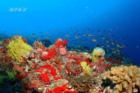 P7251237 - コピー