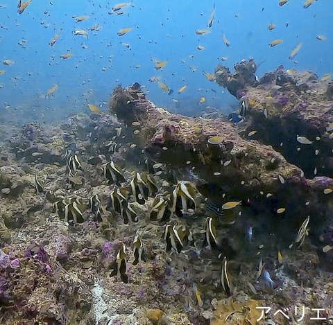 DCCC87BB-4232-48BE-BDBA-350DC0ABBDF6