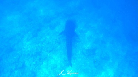 370313033_6555010404593216_8050208359690266736_n