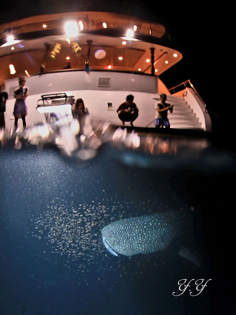 1C81D115-CEA7-4F6B-9A83-97A8EAE8CE6D